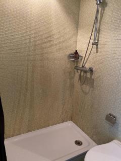 discover Swiss with its cultural - 3