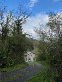 La Casa nel Bosco - 8