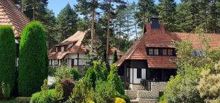 KRALJEVI KONACI - Vila Zelena Dolina - Zlatibor - 8