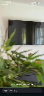 Forest Path Apartment Quiet Countryside Retreat with Sauna, Sleeps 4 - 3