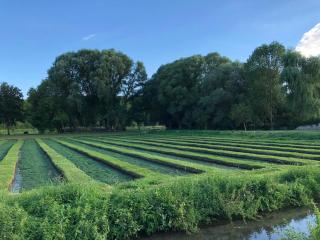 Le Moulin à Rêves - 8