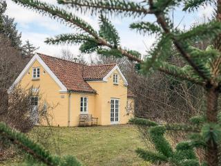 5 star holiday home in Skagen - 0