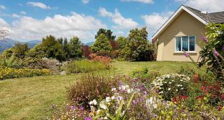 Golden Hills Farm Cottage - Nelson - 7