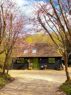 Orchard Barn next to Bewl Reservoir, Ticehurst - 9