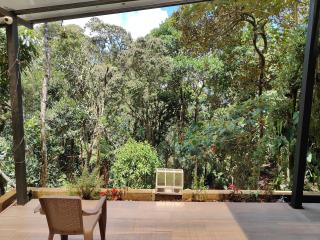 Boutique in the Forest Natural Refuge - 6