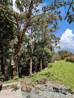 Boutique in the Forest Natural Refuge - 8