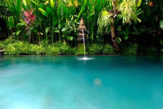 Prama House - Ubud - 5