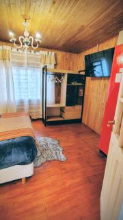 100 años ciprés - 5