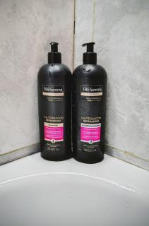 100 años ciprés - 6