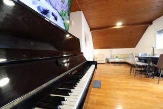 Grand Piano Apartment with Garden & Terrace - 3