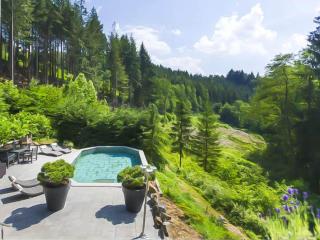 Luxury Ardennes Villa with Pool and Sauna - 1