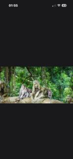 Brufut Residencies Apartment 1 - 1