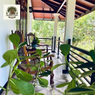 Cinnamon canopy stay - 8
