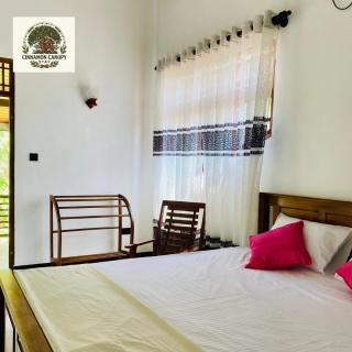 Cinnamon canopy stay - 2