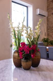 Casa Santian - Colonial Mansion near Paseo Montejo & Gastronomic Corridor - 1