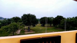 Whisker & Waves, Panama - 3