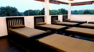 Whisker & Waves, Panama - 1