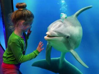 Relaxing Zeeland Escape - 6