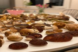 Comfortable house with access to the lake, Masuria - 1