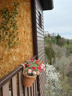 Stillwood Tsikhisdziri - 2