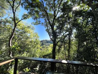 Casinha Natureza - 6