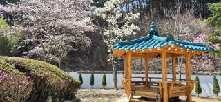 초음정 Luxury Hanok Style Villa with Private Garden in Gyeongju - 7