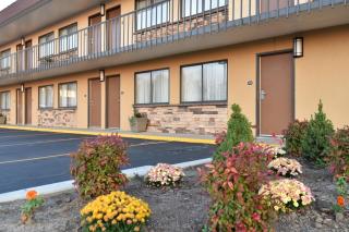 Best Western Winchester Hotel - Winchester - 5