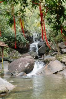 Toom Sara Forest Stay - Danang - 9