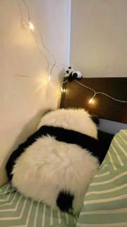 Pandas Hideaway Retreat Free parking Quiet - 4