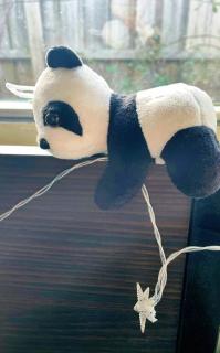 Pandas Hideaway Retreat Free parking Quiet - 2