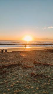 Surfside Paradise Retreat - 3BR and 2BA Duplex, Grill, DOG FRIENDLY - Close to the Beach! - 7