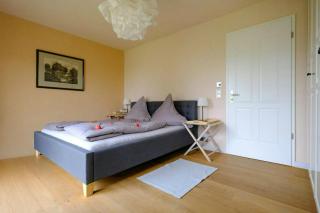 Apartment By Private Lake In Holstein Switzerland - 5