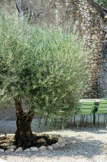 Artist's Stable With Garden Near Alpilles - 7