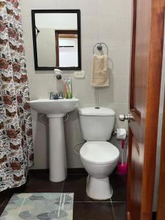 hostal orquideas de auri - 7