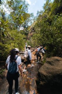 Mara Enchipai Lodge - 8