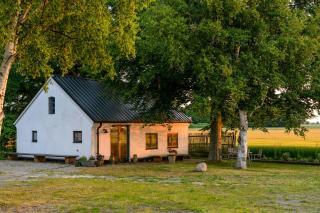 Restored House With Art In Österlen - 9