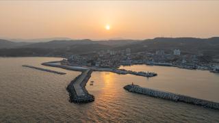 경주감포 하운드 스틸코브 - 6