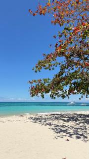 Bantayan Beachfront Seacamp Okoy Private House Operated by In Dai Aquasports and Beach Resort - 8