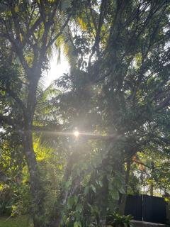 Tree Avenue Villa Dambulla - 6