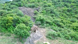 Jani and jai little home, adhiyogi, Isha, Dual AC x2 room villa - 5