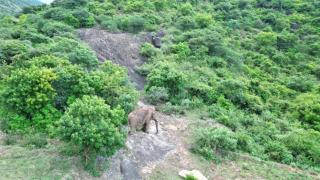 Jani and jai little home, adhiyogi, Isha, Dual AC x2 room villa - 4