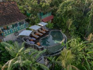 Sokwayah Jungle Villas & Retreat - 8