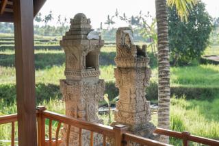 Sokwayah Jungle Villas & Retreat - 1