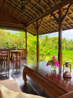 North Bali Eco Cabin Nature Retreat - 9