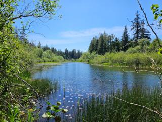 Olympic Gateway RV Site -- Private, easy US-101 access, creekside trail with lake access - 6