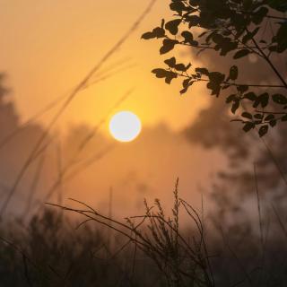 Autentieke pipowagen Bijzonder Buitenaf met jacuzzi en Finse sauna - 9