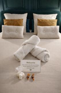 Nancy Vieille Ville Stanislas - 7