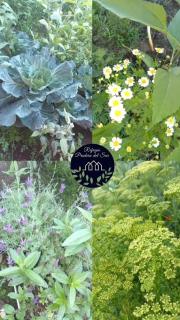 Refugio Pradera del Sur - 4