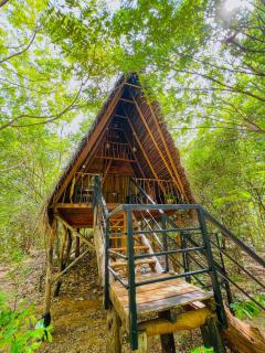 Habarana Tree House Ambasewana Resort - 1