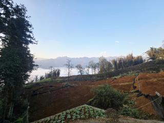 Sapa Hmong Culture Homestay and Trekking tour - 7